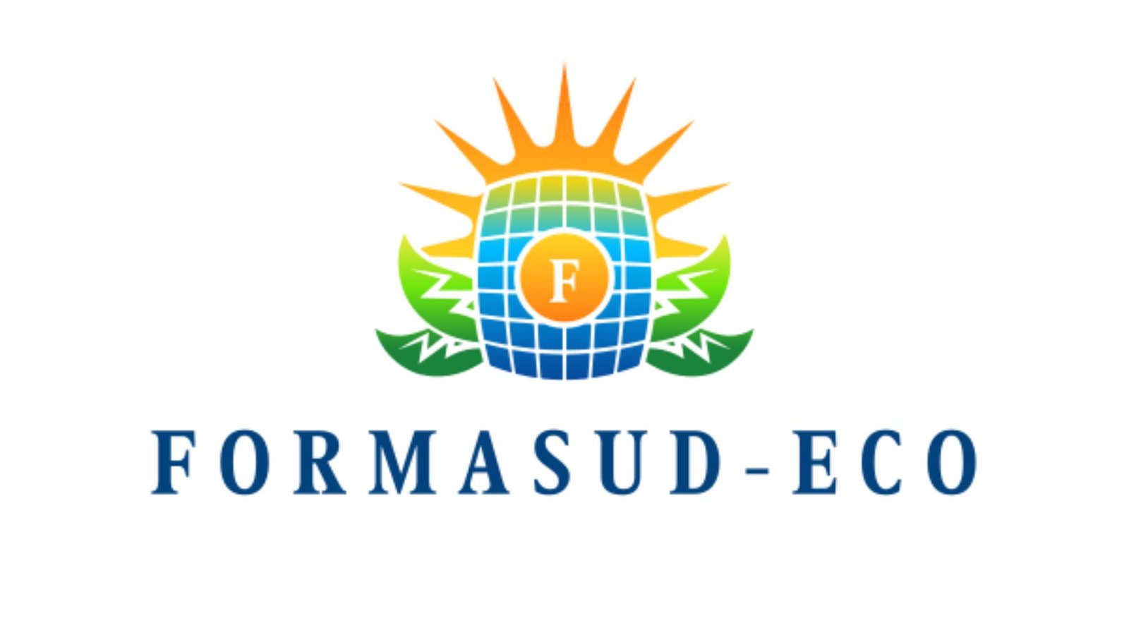 formasud-eco.fr